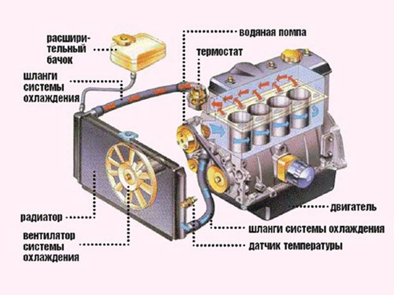 Устройство системы охлаждения автомобильного двигателя