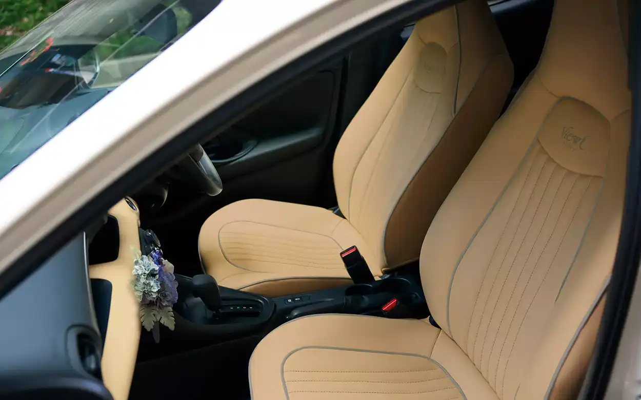 Интерьер Mitsuoka Viewt Royal Edition