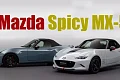 Mazda Spicy MX-5 Spirit Racing тиражом 200 штук